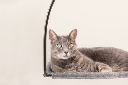 Cat Window Hammock with Suction Cups - 30lb Capacity Elevated Perch for Glass Windows