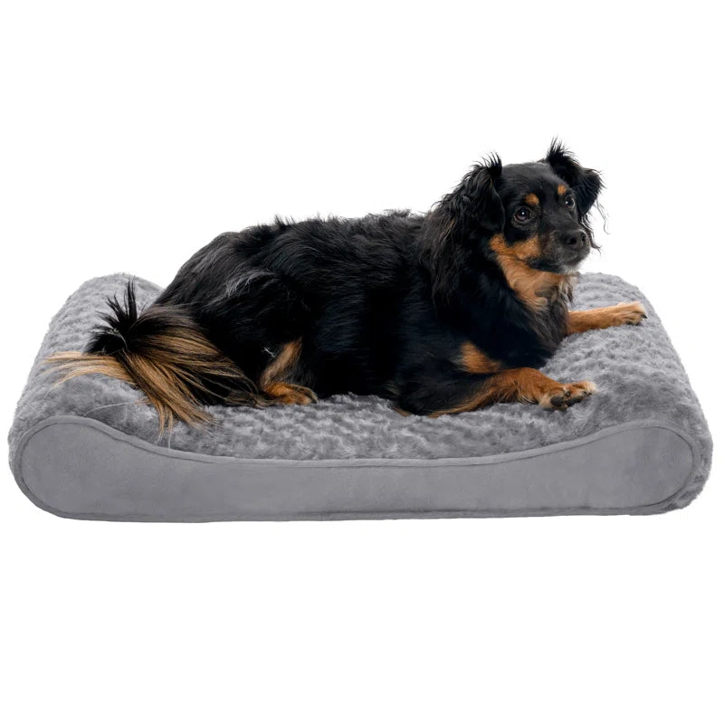 Contoured Orthopedic Dog Bed with Ultra Plush Surface