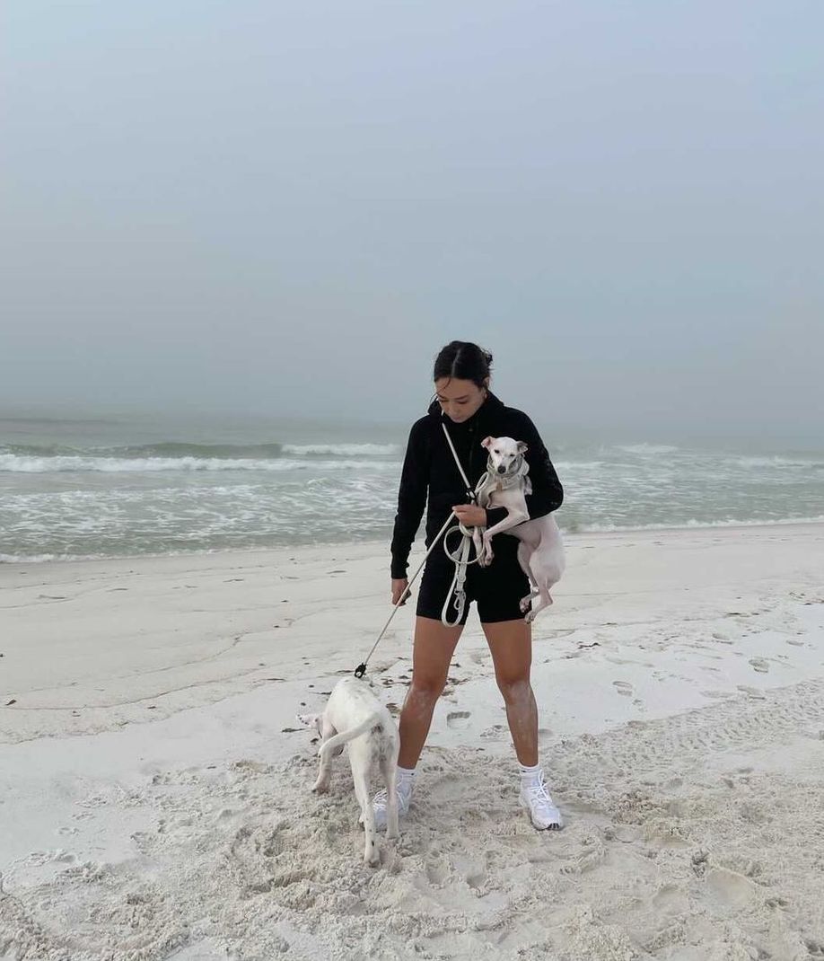 Dog Walking Leash – Hands-Free Slip Collar Style with Convertible Link (Multi-Color)