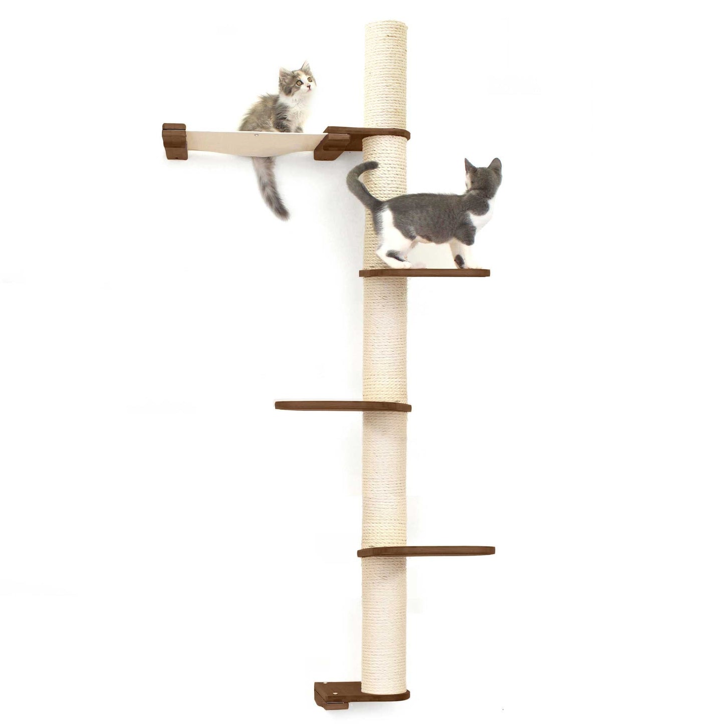 Tall cat perch with natural bamboo vertical scratching pole and summit hammock, dark wood platforms, suitable for cat tree.
