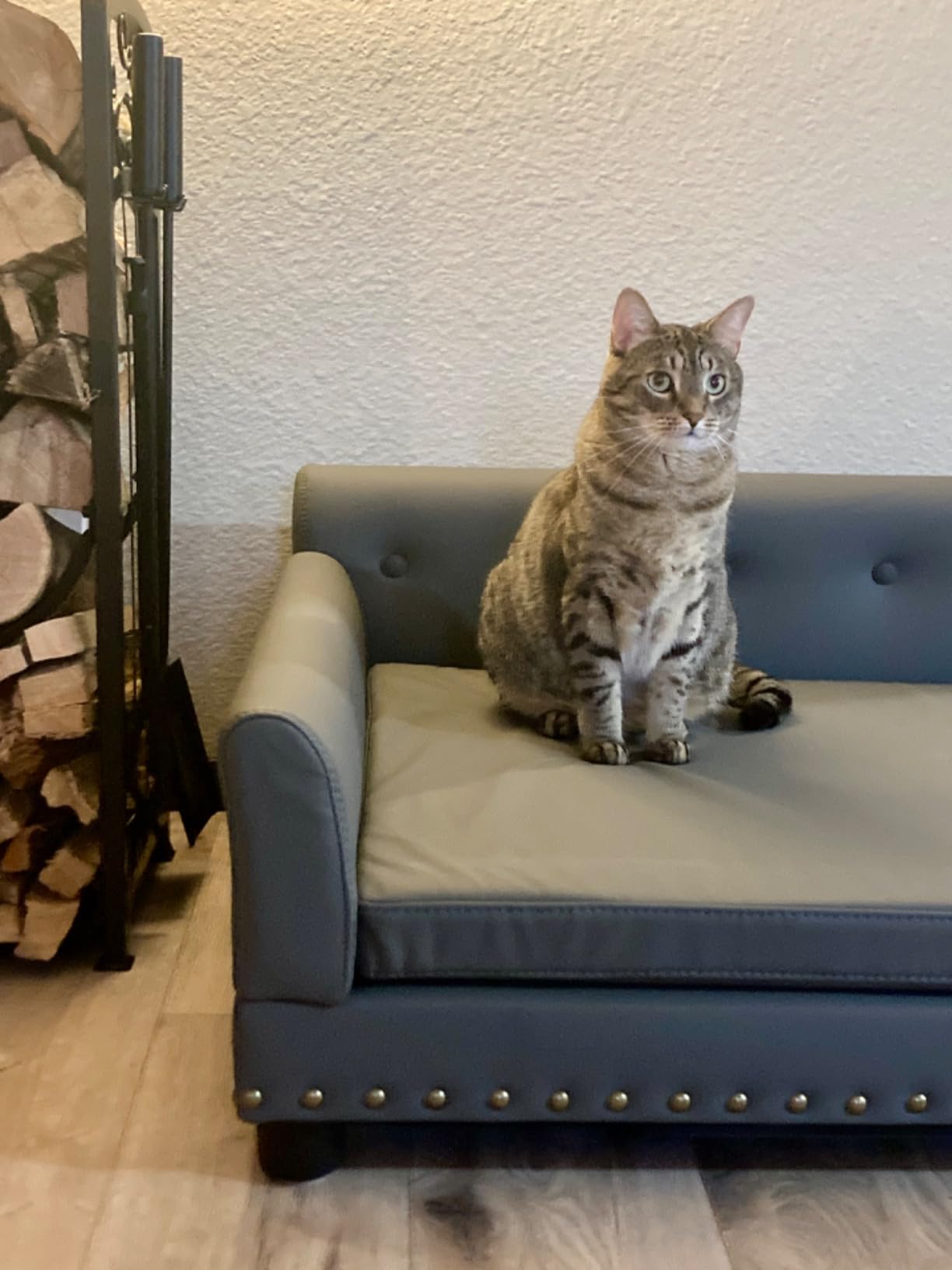 Elevated Dog Bed Sofa with Microfiber Leather and Removable Cushion