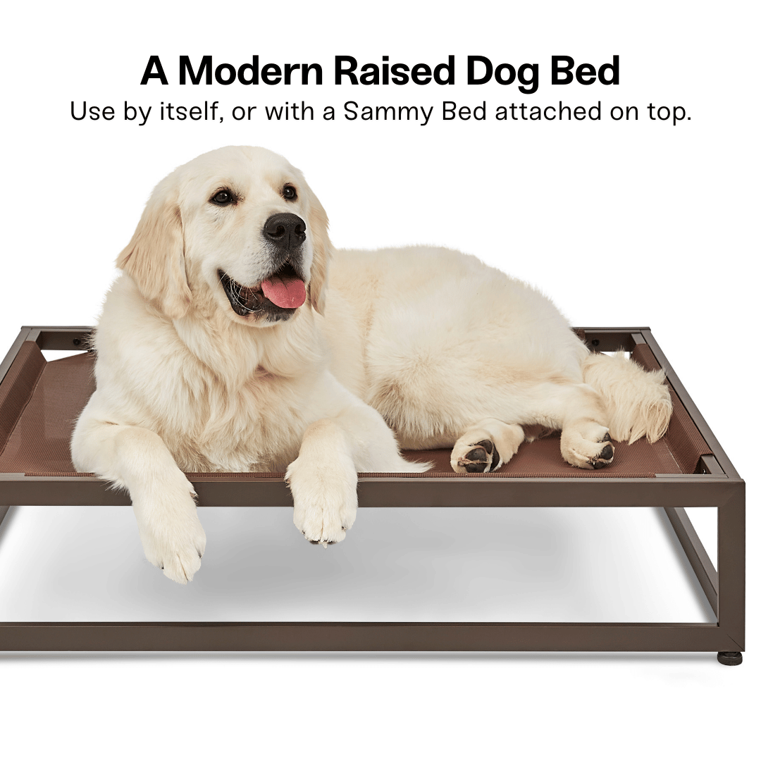 Elevated Chew-Resistant Dog Bed – Indoor/Outdoor Mesh Platform (Brown)