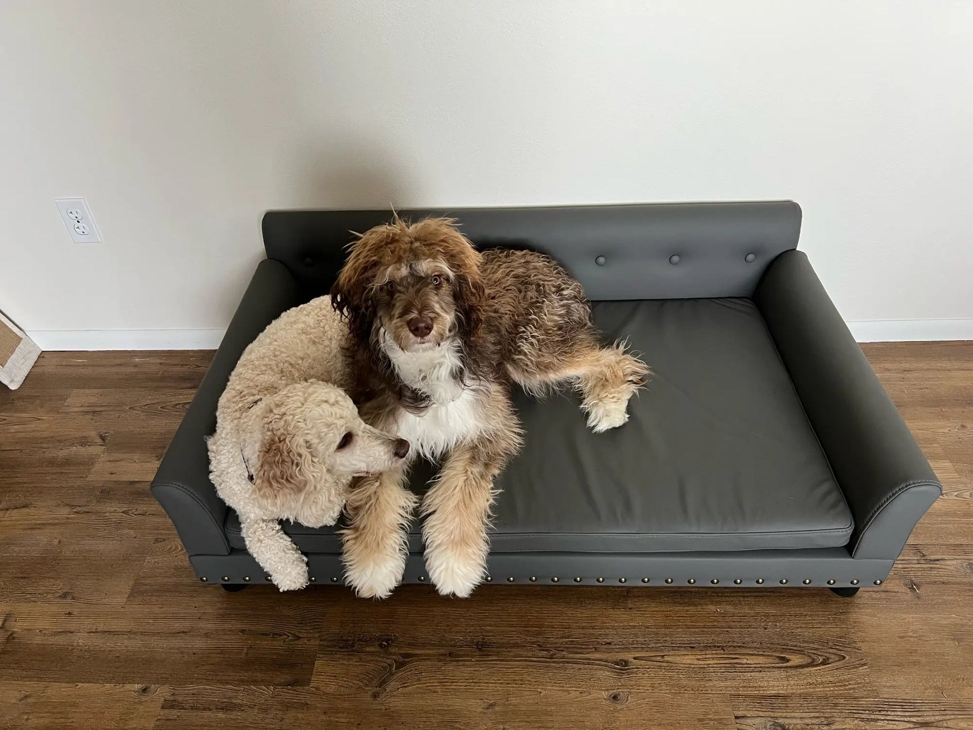 Two dogs on a gray dog bed.

