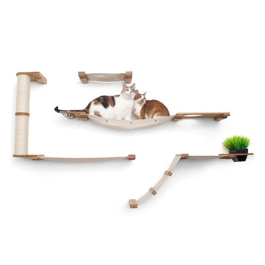 Cats on wall-mounted cat furniture.