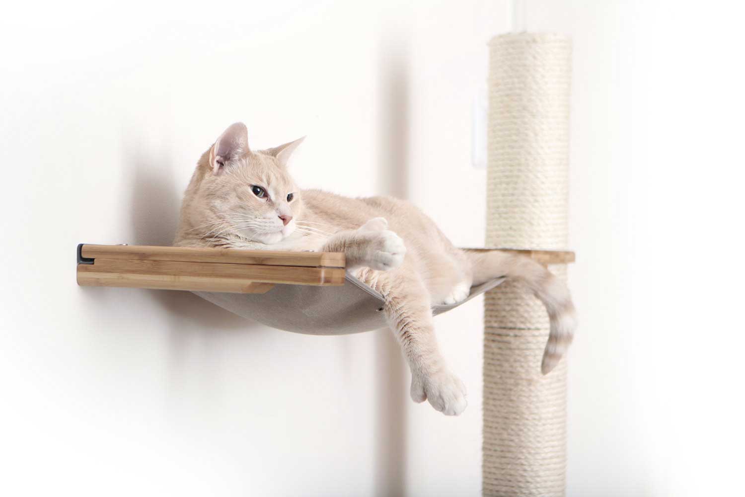 Onyx bamboo tall cat perch with natural canvas summit hammock and vertical scratching pole, mounted on wall.