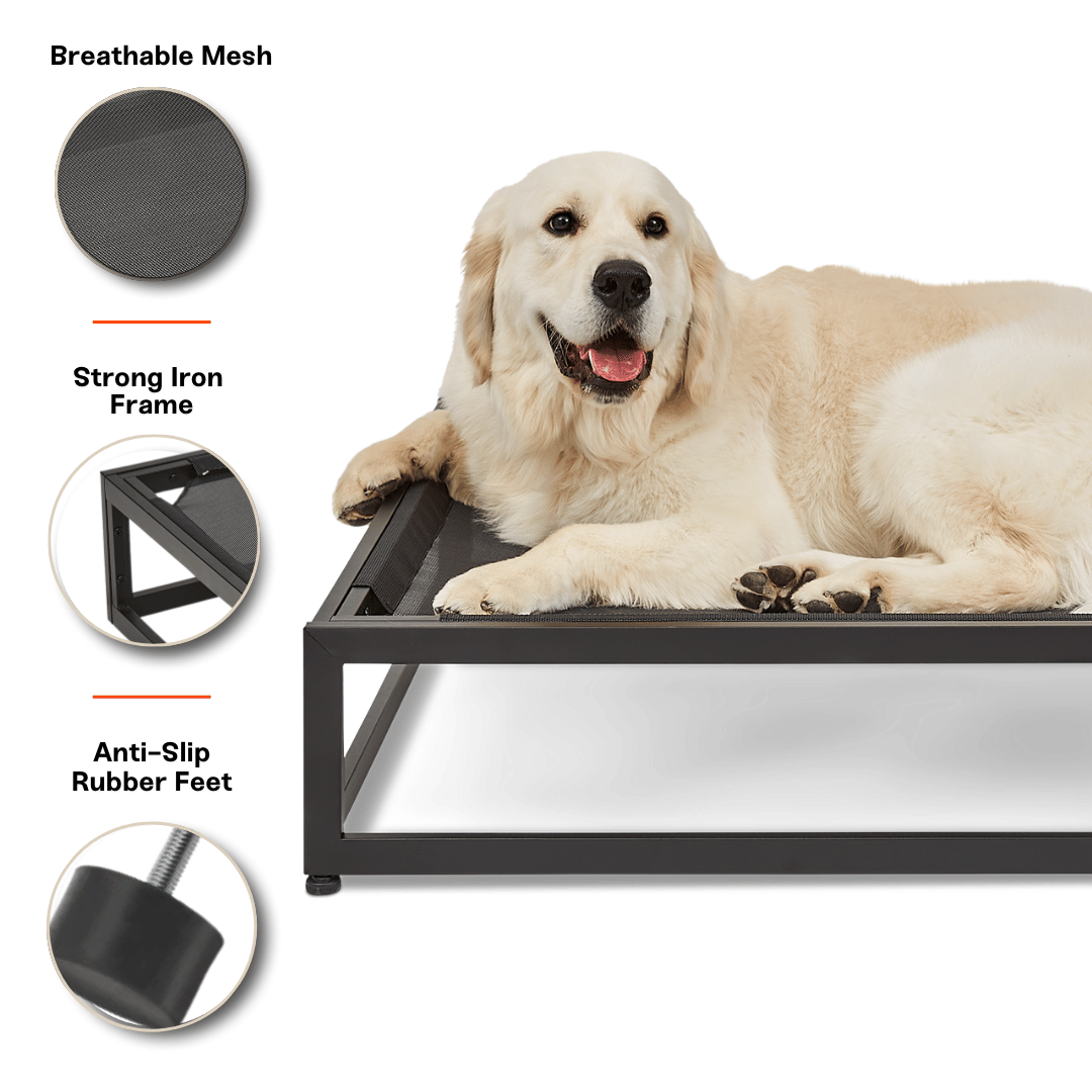 Elevated Chew-Resistant Dog Bed – Indoor/Outdoor Mesh Platform (Brown)