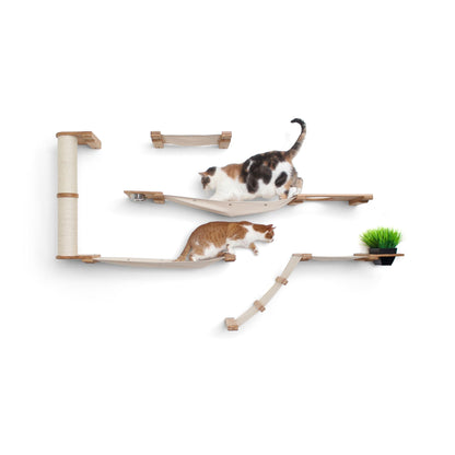 Multi-Level Cat Activity Center - Wide Layout Climbing System