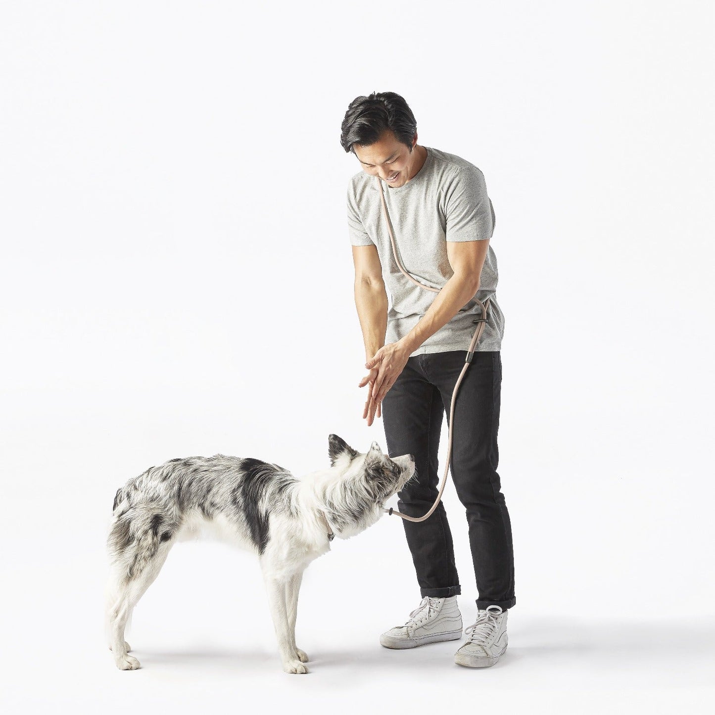 Dog Walking Leash – Hands-Free with Classic Clip (Multi-Color)