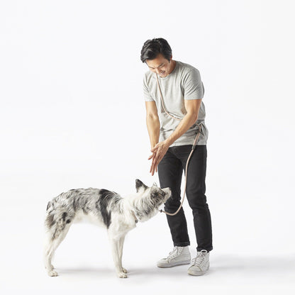 Dog Walking Leash – Hands-Free with Classic Clip (Multi-Color)