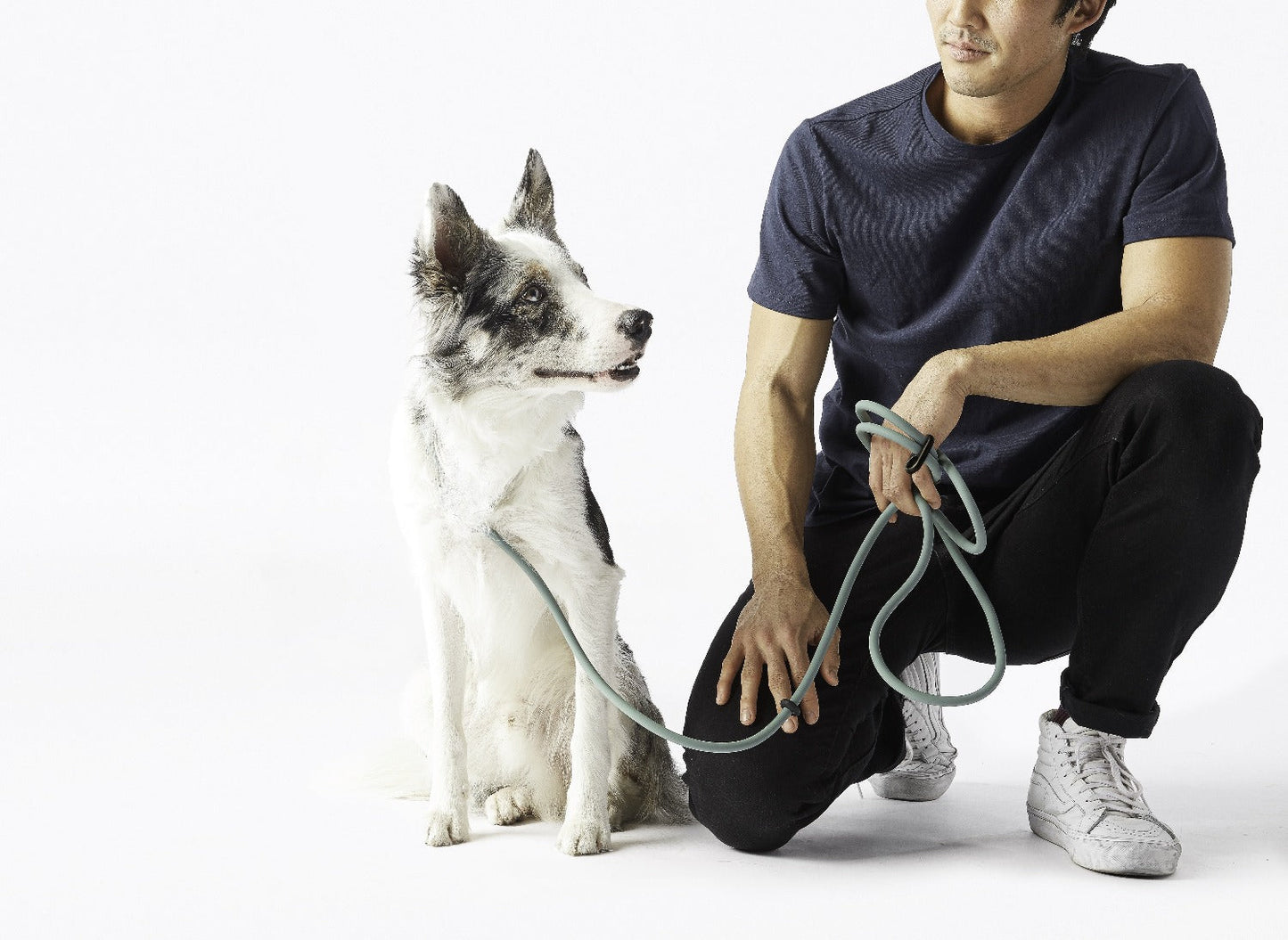 Dog Walking Leash – Hands-Free with Classic Clip (Multi-Color)