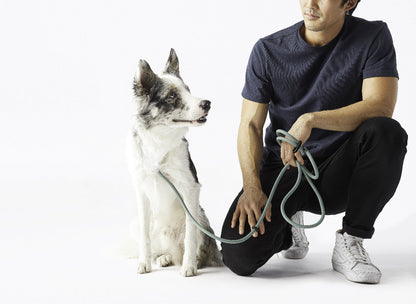 Dog Walking Leash – Hands-Free with Classic Clip (Multi-Color)