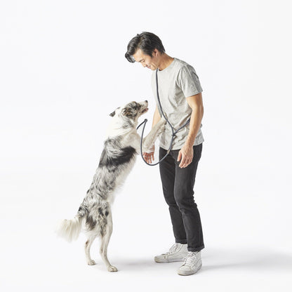 Dog Walking Leash – Hands-Free with Classic Clip (Multi-Color)