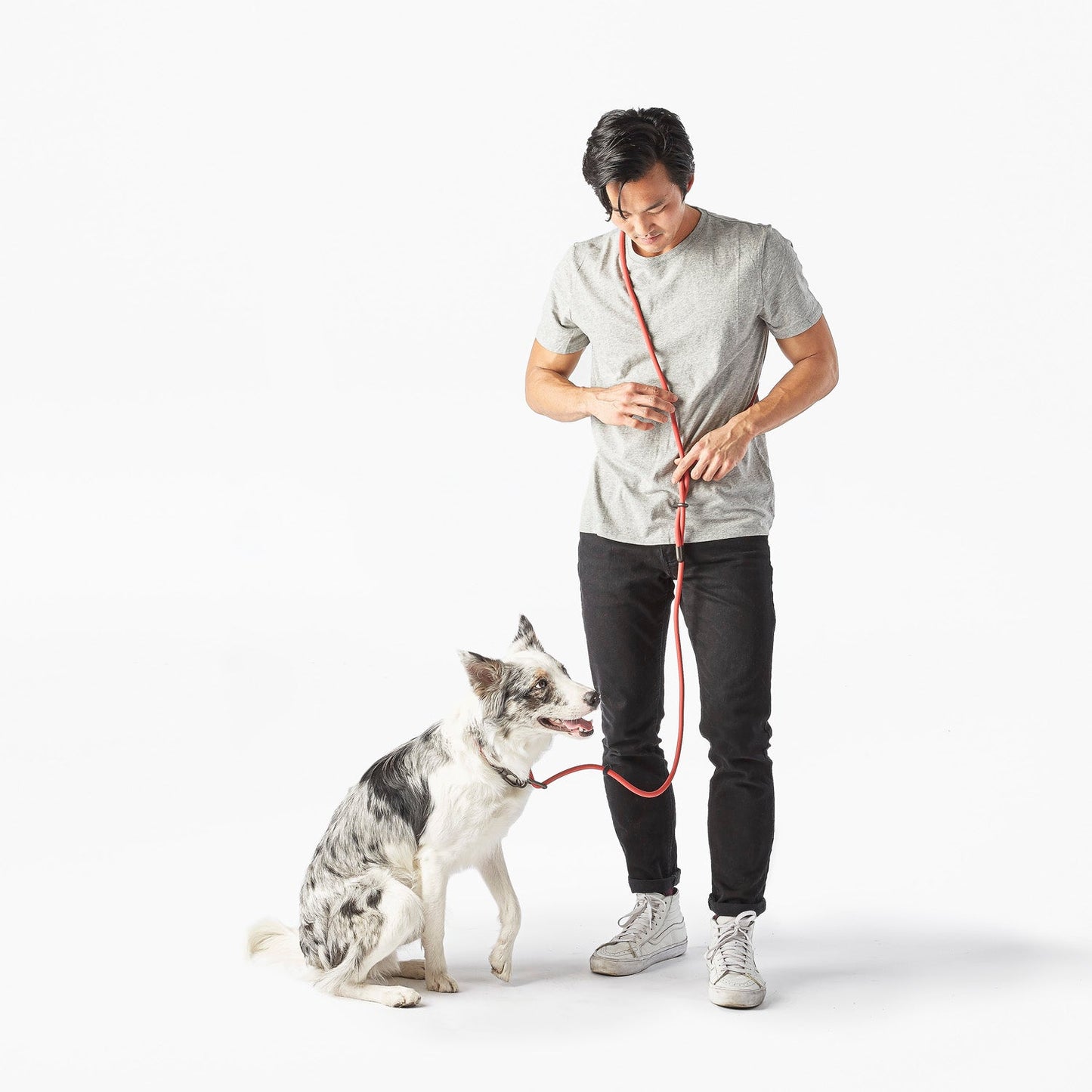 Dog Walking Leash – Hands-Free Slip Collar Style with Convertible Link (Multi-Color)