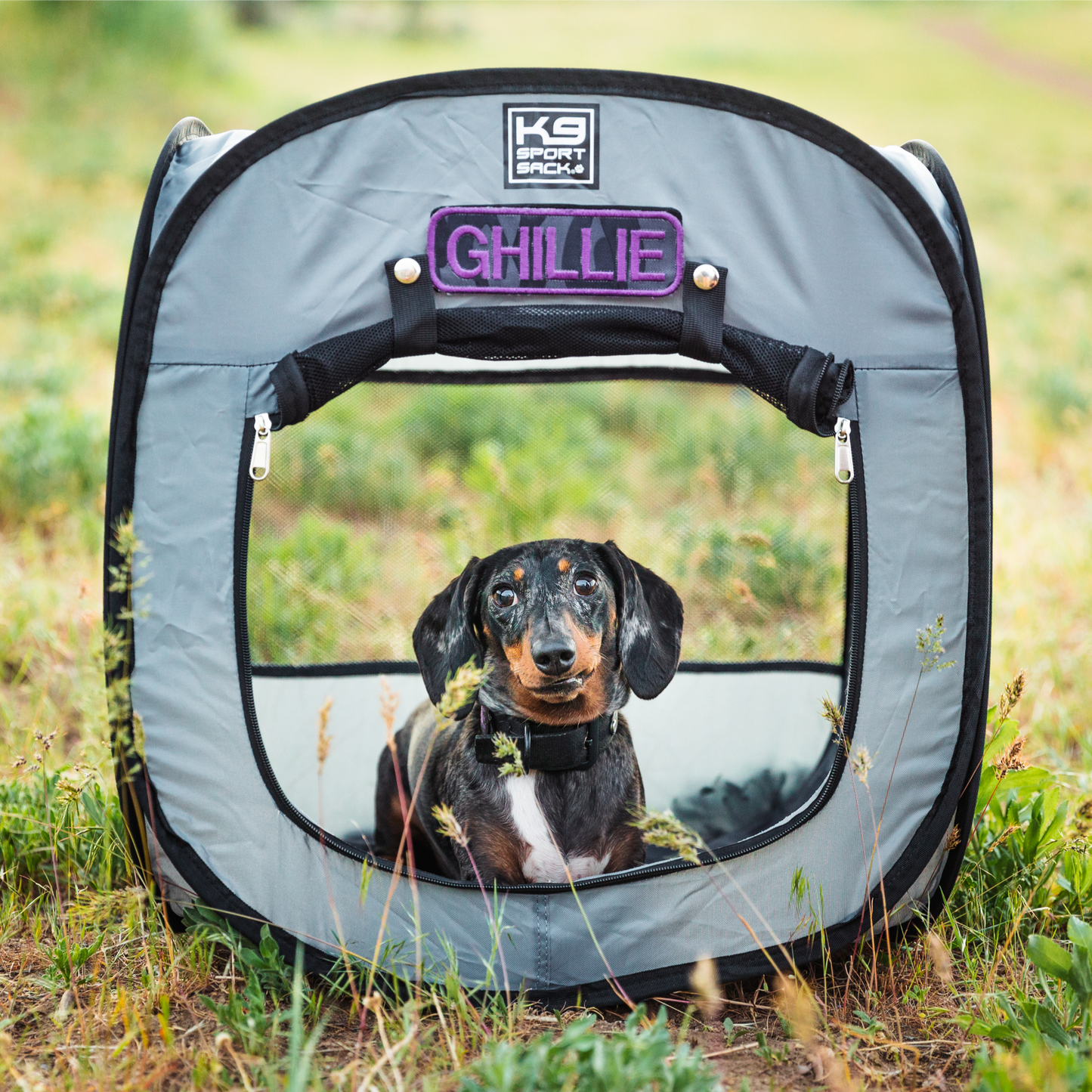 Pop-Up Dog Tent – Portable Outdoor Pet Shelter