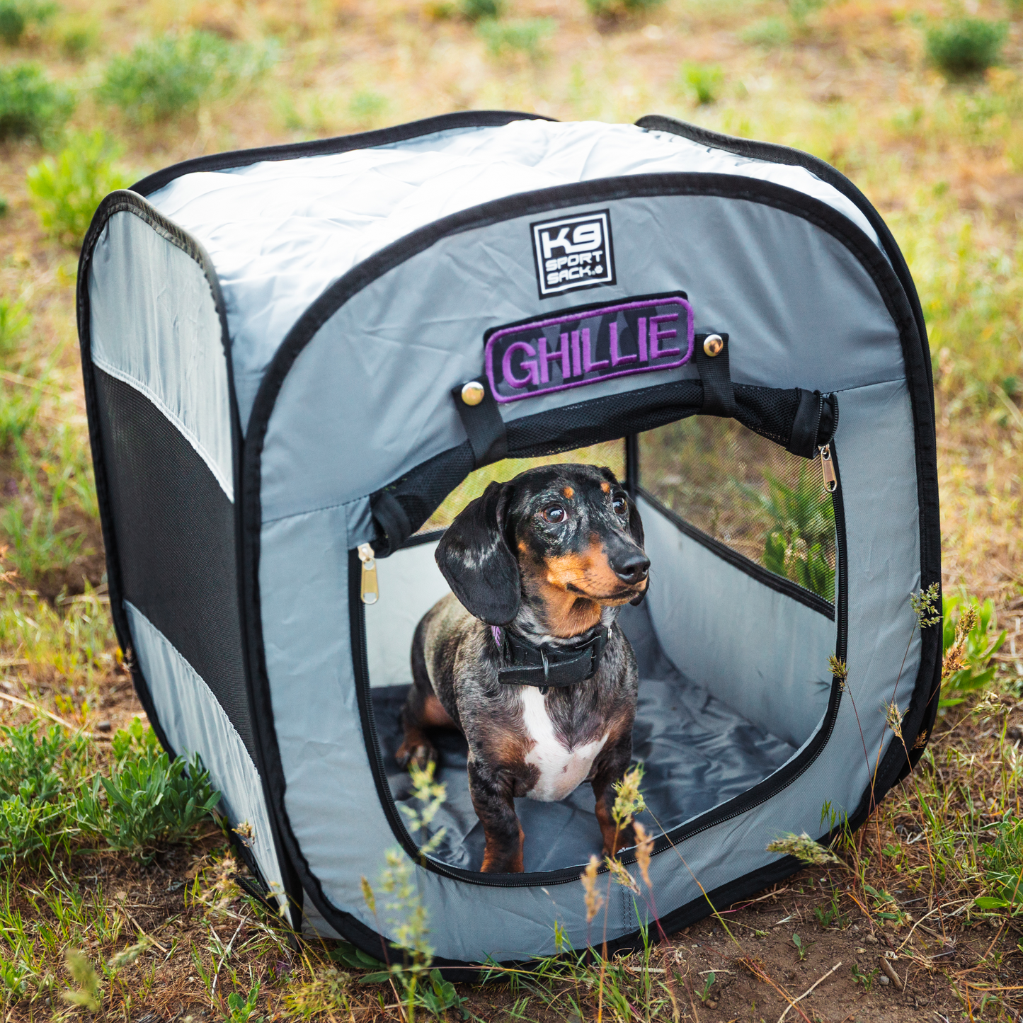 Pop-Up Dog Tent – Portable Outdoor Pet Shelter