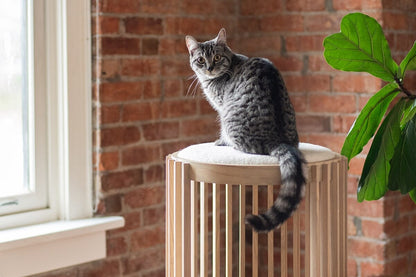 Modern Cat Tree with Faux Shearling Top & Slatted Design