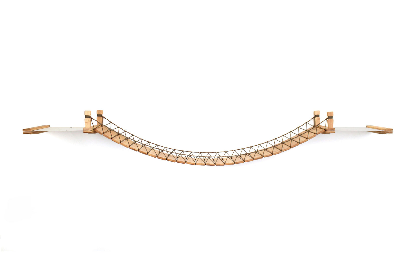 Double Cat Hammock Bridge - Suspension System with Climbing Platform