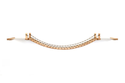 Double Cat Hammock Bridge - Suspension System with Climbing Platform