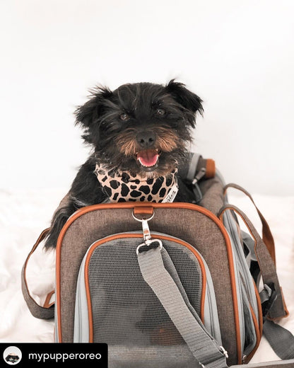 Airline Pet Carrier Soft-Sided Standard (Gold Series)