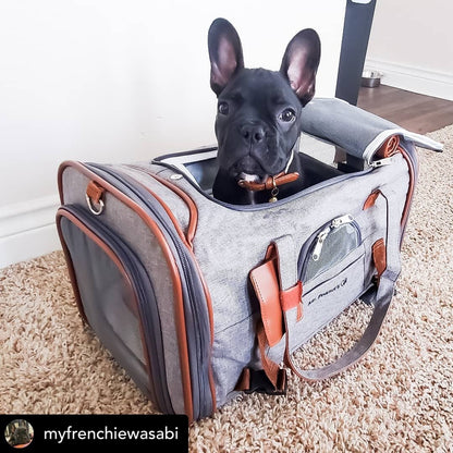 Airline Pet Carrier Soft-Sided Standard (Gold Series)