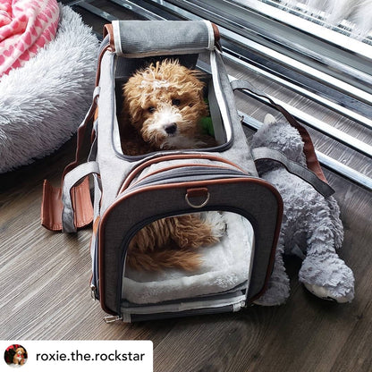 Airline Approved Expandable Pet Carrier – Standard Size, Soft-Sided Travel Tote
