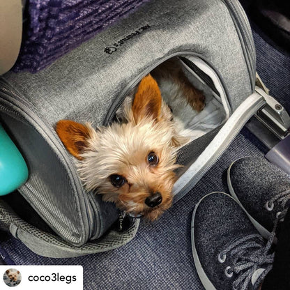 Airline Approved Expandable Pet Carrier – Standard Size, Soft-Sided Travel Tote