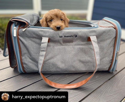Airline Approved Expandable Pet Carrier – XL Size, Soft-Sided Travel Tote