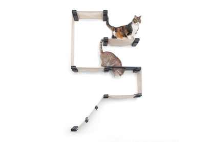Two cats on a wall-mounted cat climbing structure.