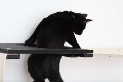 Cat Puzzle Wall System - 3-Tier Mental Stimulation Maze