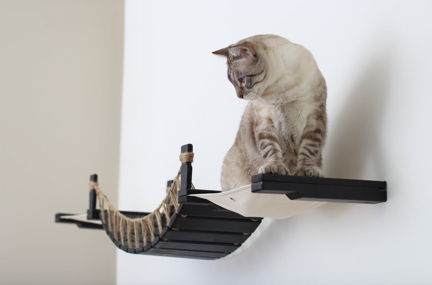 Double Cat Hammock Bridge - Suspension System with Climbing Platform