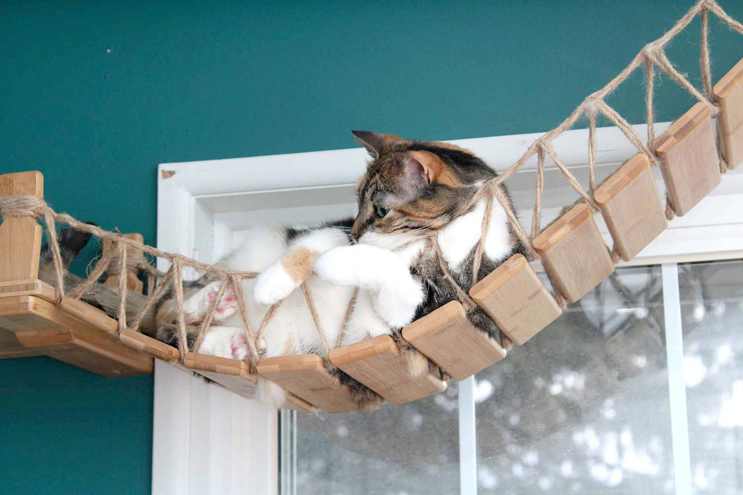Wall-Mounted Cat Bridge - Flexible Crossing System with Safety Railings