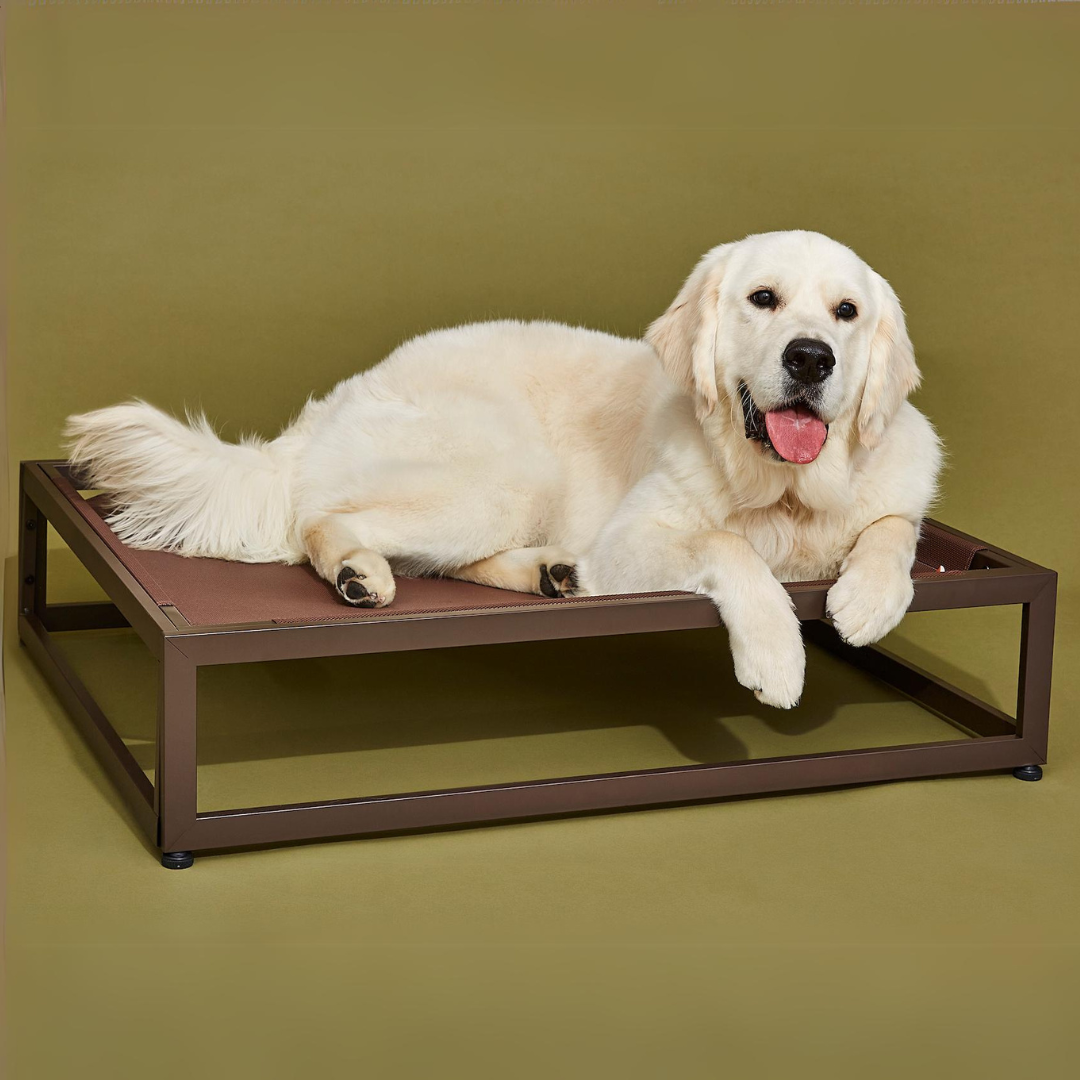 Elevated Chew-Resistant Dog Bed – Indoor/Outdoor Mesh Platform (Brown)