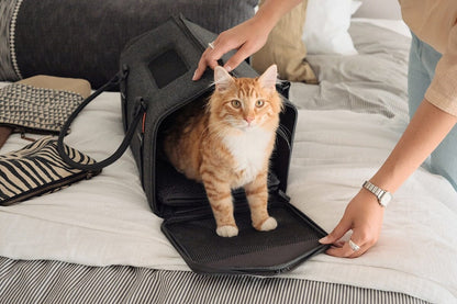 TSA Approved Cat Travel Carrier - Expandable Soft-Sided Design for Plane & Car Travel