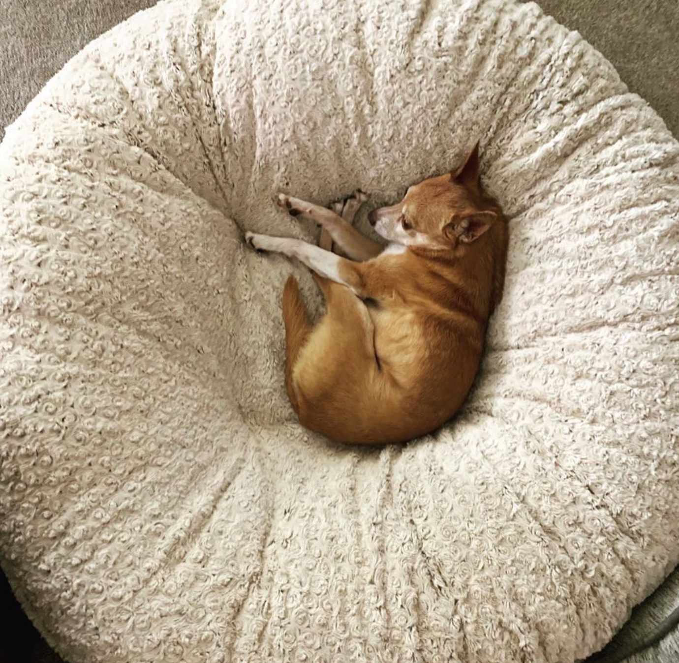 Crocodile Cream Mink Bagel Bed