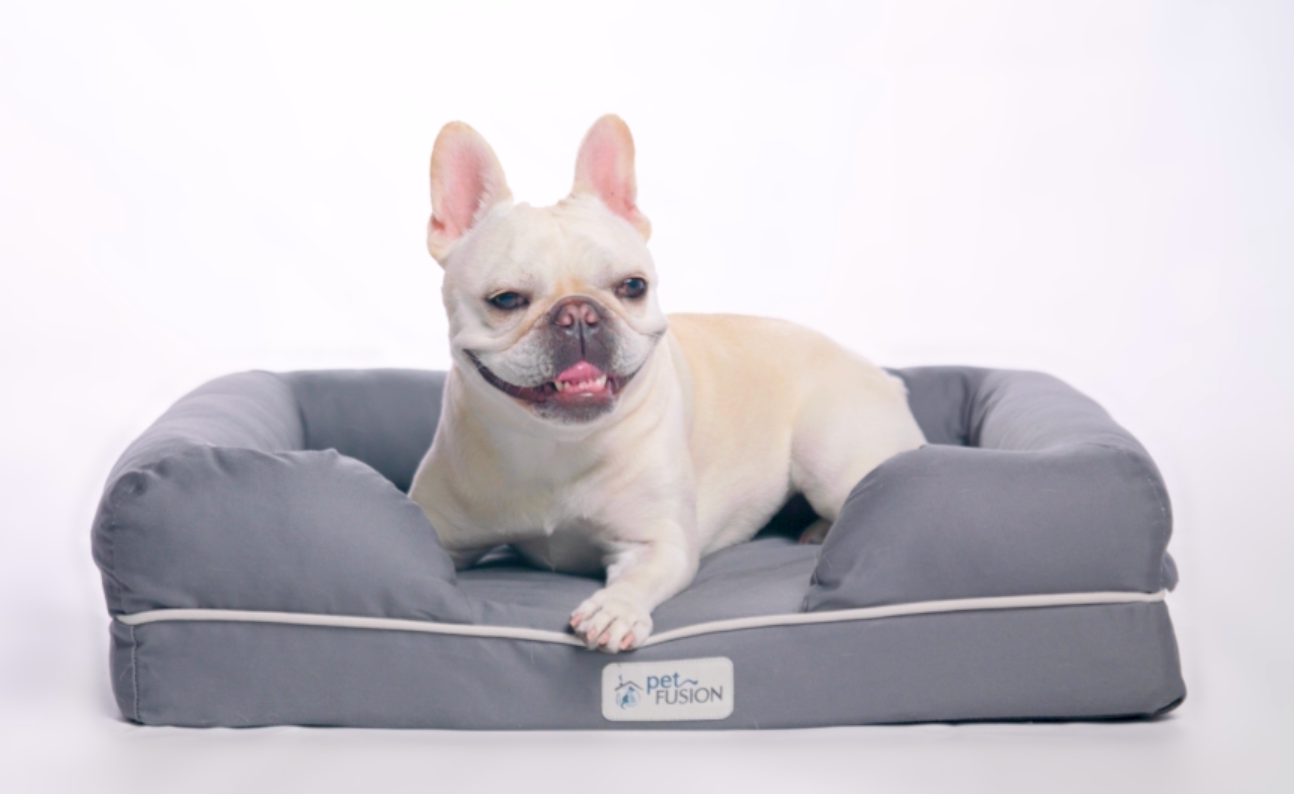 Orthopedic Memory Foam Dog Bed with Bolster Sides