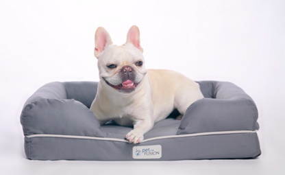 Orthopedic Memory Foam Dog Bed with Bolster Sides