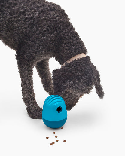 Interactive Treat Dispenser for Dogs | Mental Stimulation & Slow Feeder – Multiple Colors by Fable