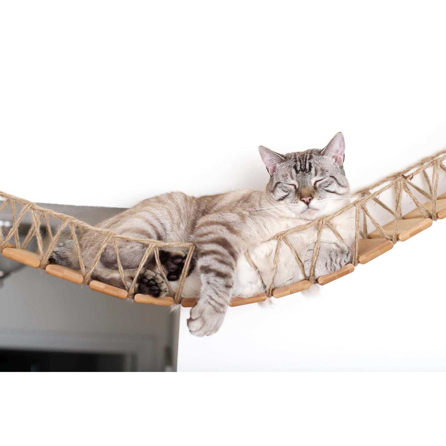 Wall-Mounted Cat Bridge - Flexible Crossing System with Safety Railings