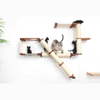A wall-mounted cat tree with multiple levels and five cats on it.