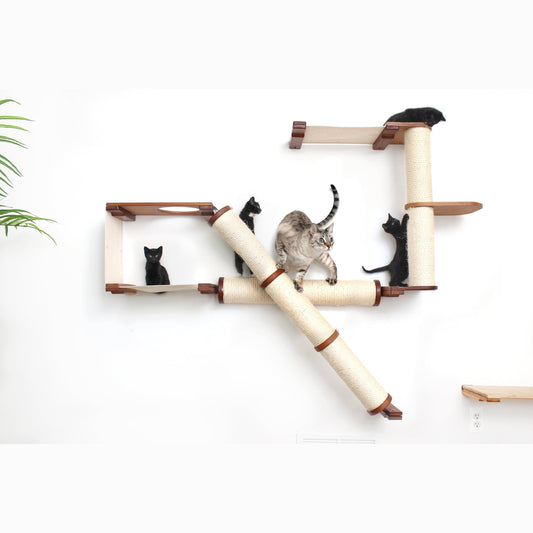 A wall-mounted cat tree with multiple levels and five cats on it.