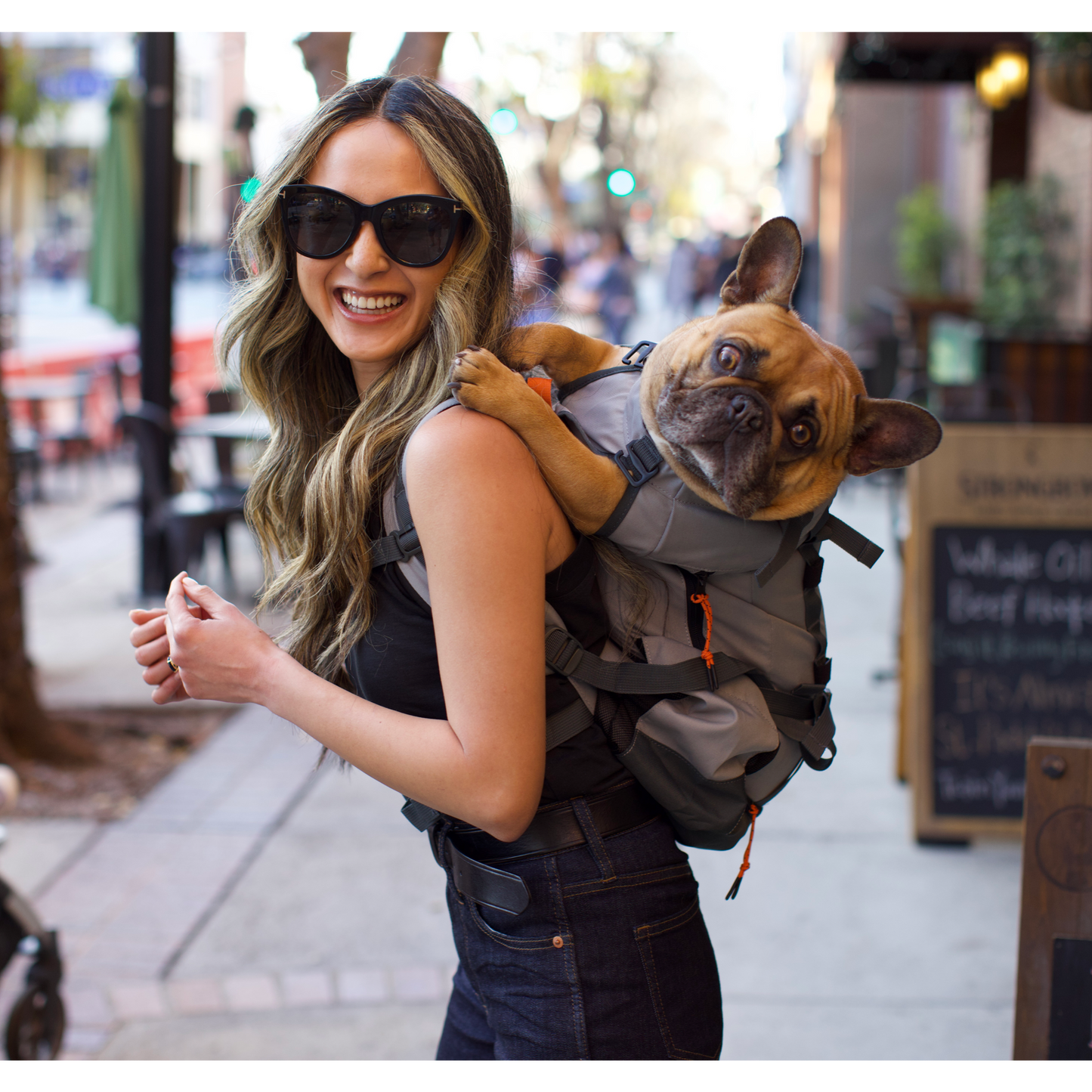 Dual Use Dog Carrier & Backpack – Urban 3 Convertible Pack