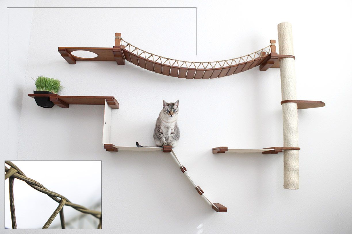 Cat Jungle Gym - Compact Activity System for Active Cats