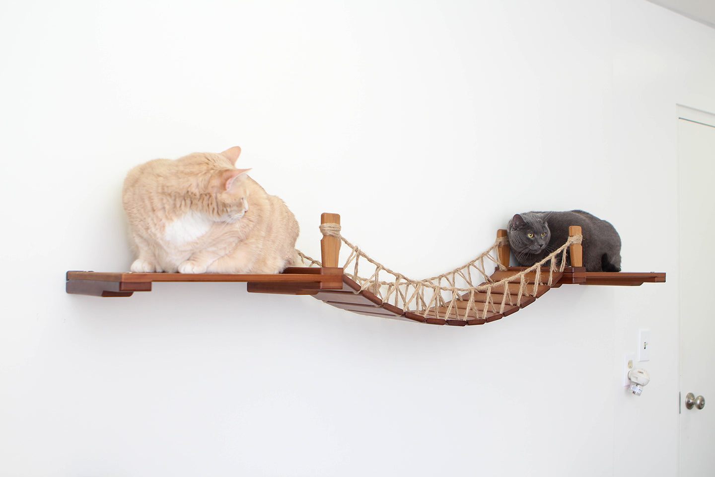Wall-Mounted Cat Bridge - Flexible Crossing System with Safety Railings