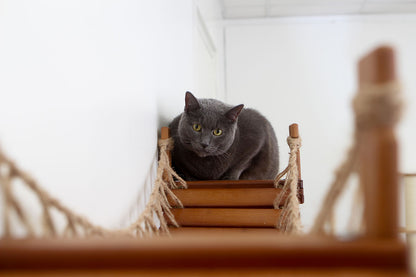 Wall-Mounted Cat Bridge - Flexible Crossing System with Safety Railings