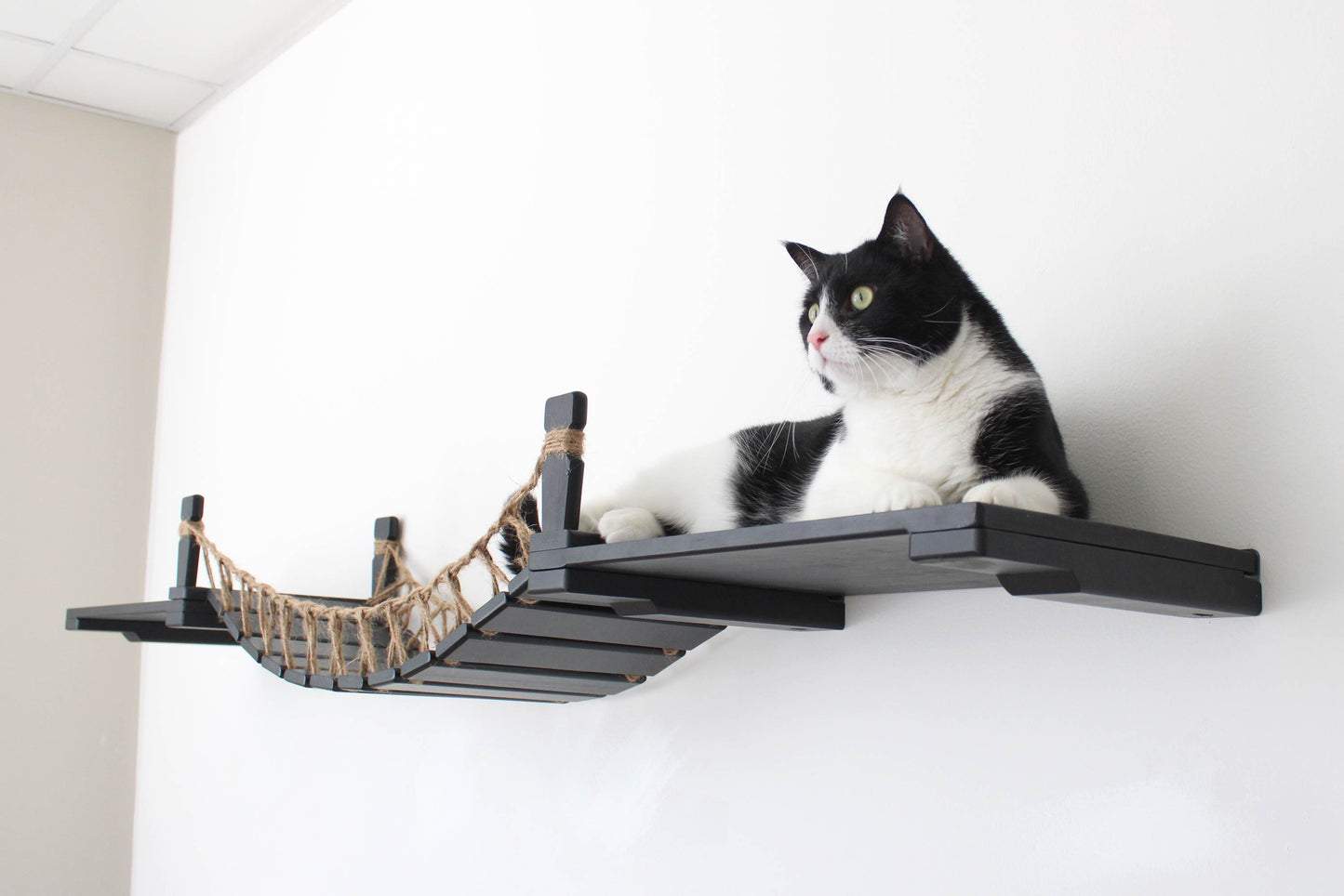 Wall-Mounted Cat Bridge - Flexible Crossing System with Safety Railings