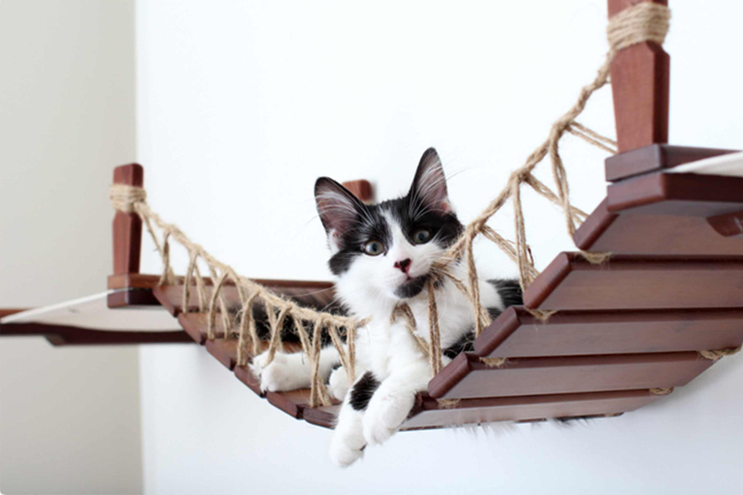 Double Cat Hammock Bridge - Suspension System with Climbing Platform