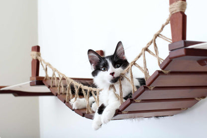 Double Cat Hammock Bridge - Suspension System with Climbing Platform