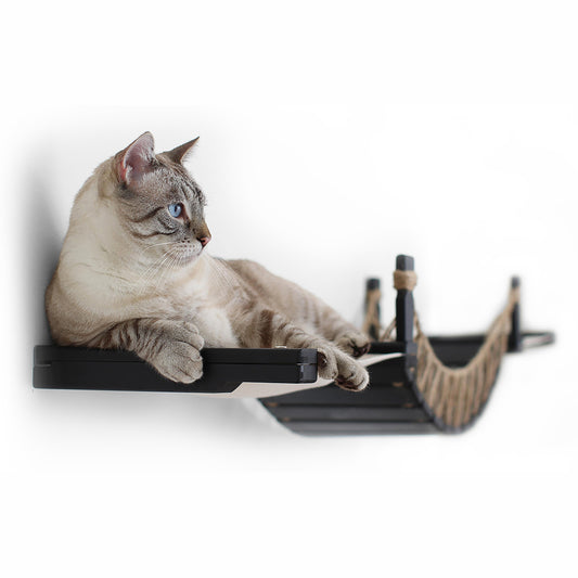 A cat resting on a wall-mounted perch.