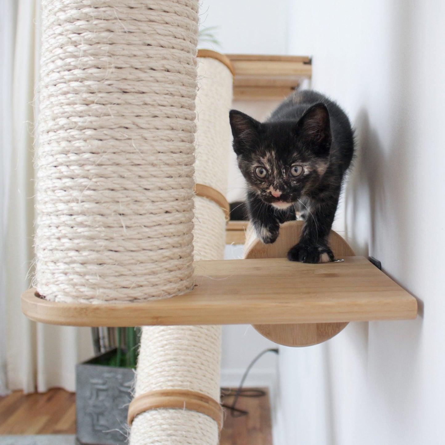 X-Shaped Cat Scratcher - Multi-Angle Climbing System with Ramp Access