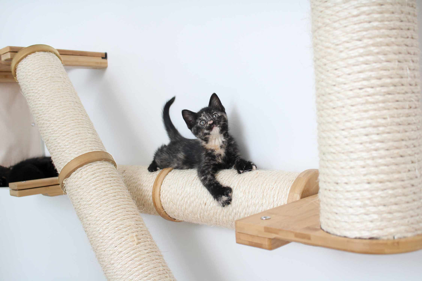 X-Shaped Cat Scratcher - Multi-Angle Climbing System with Ramp Access